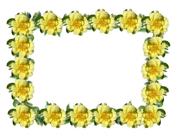 Yellow blossom decorative photo frame